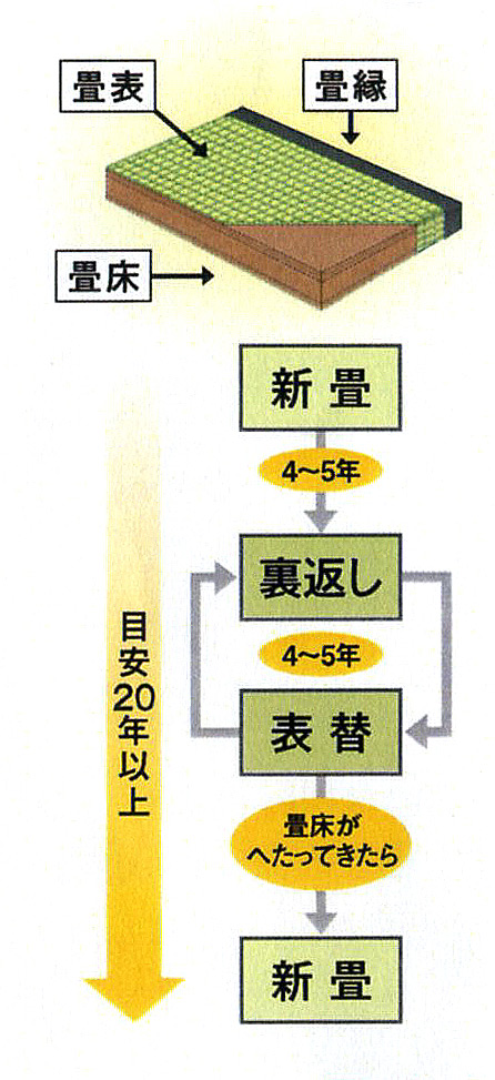 畳のライフサイクル